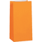 Paper Bags Orange 12CT.