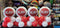 FLOATO CUSTOM BALLOON PICTURE BALLOON