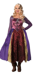 Foolish Hocus Salem Witch Women's Costume X-small 2-4