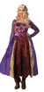 Foolish Hocus Salem Witch Women's Costume Large 14-16