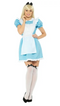 STORYBOOK WONDERLAND ALICE WOMEN'S COSTUME X-SMALL 2-4