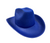 ADULT'S RODEO BLUE COWBOY HAT