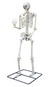 10ft. Standing Titan Skeleton w/White LED Eyes & Stand