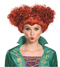 WINI DELUXE ADULT WIG - HOCUS POCUS WINIFRED