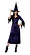 Classy Purple Witch Women's Costume Small 6-8