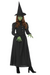 STORYTIME EVIL WICKED WITCH WOMEN'S COSTUME LARGE 14-16