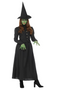 STORYTIME EVIL WICKED WITCH WOMEN'S COSTUME X-LARGE 18-20