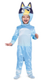 Bluey Child  Costume