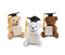 Graduation Stuffed Bears with Diploma Pocket 1 PC