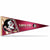 NCAA Florida State Seminoles 12" x 30" Soft Felt Pennant