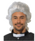 WHITE COLONIAL LEGISLATOR WIG