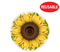 Plastic Sunflower Placemats 4PCS