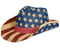 Patriotic Printed Cowboy Hat