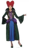 Masterful Hocus Salem Witch Women's Costume Medium 10-12