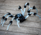 31 1/2" Gray and Black Hairy Walking Spider Halloween Decoration