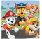 Paw Patrol™ Adventures Luncheon Napkins 16ct.