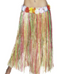 Adult Hawaiian Hula Skirt Multi-Colored