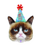 36" Grumpy Cat Party Face Balloon Shape #357