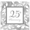 25th Anniversary Silver Lunch Napkins 16ct