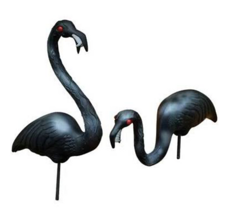 Black Zombie Flamingos - Pair in Display Box