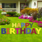 Happy Birthday Multicolored Yard Cards 13ct
