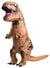 CHILD INFLATABLE T-REX COSTUME