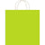 Hallmark Large Lt Green Giftbag