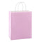 Hallmark Small Light Pink Gift Bag