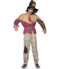 Sinister Scarecrow Costume Adult (Medium/Large)