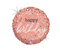 18" Rose Gold Confetti Birthday Holographic Balloon #276/PKG