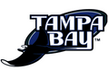 18" Tampa Bay Devil Rays Balloon #123