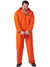 Got Busted! Prisoner Adult Costume Standard