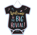 The Big Reveal Gender Reveal Welcome Sign