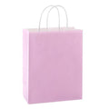 Hallmark Small Light Pink Gift Bag