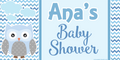 Blue Owl Baby Shower Custom Banner