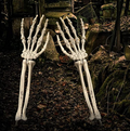 Skeleton Arm 1CT