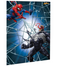SpiderMan™ Webbed Wonder Scene Setters® Wall Decorating Kit
