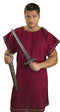 Roman Sword and Sheath