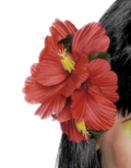 Red Hawaiian Flower Hair Clip
