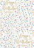 Hot Stamp Dots& HBday Script 24"x50' Gift wrap