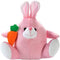 Easter Plush Bunny