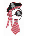 Pirate Kit Costume