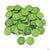 Lucky Shamrock Coins 144ct