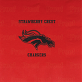 Strawberry Crest High School Custom Printed Napkins 16ct.