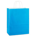 Hallmark Medium Blue Giftbag