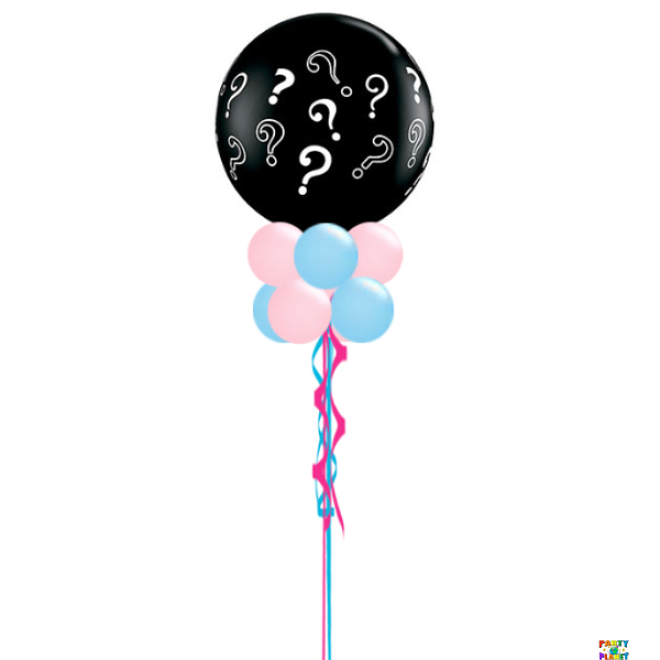 #22 Gender Reveal Package