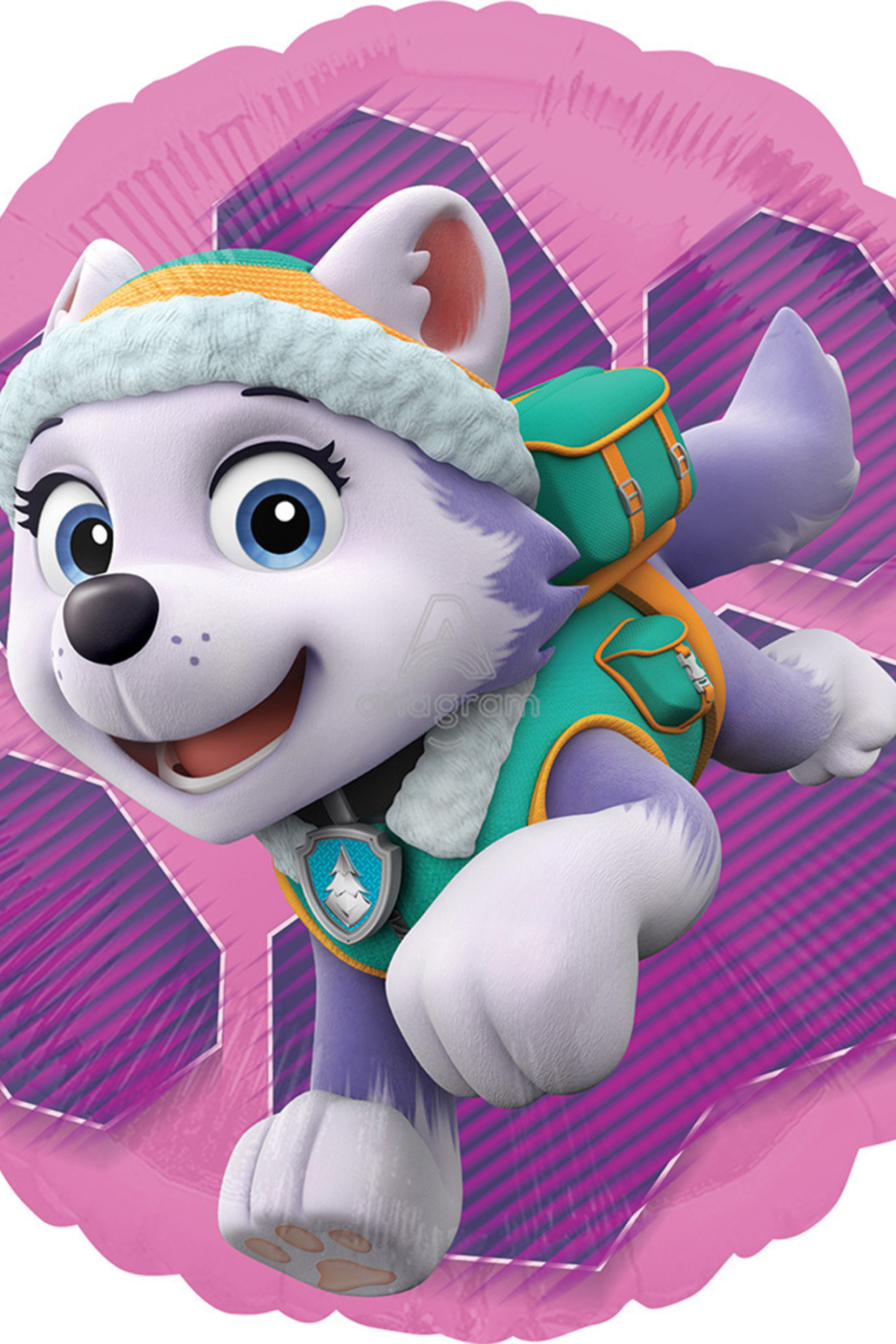 18" Skye/Everest Paw Patrol Girl Balloon #21