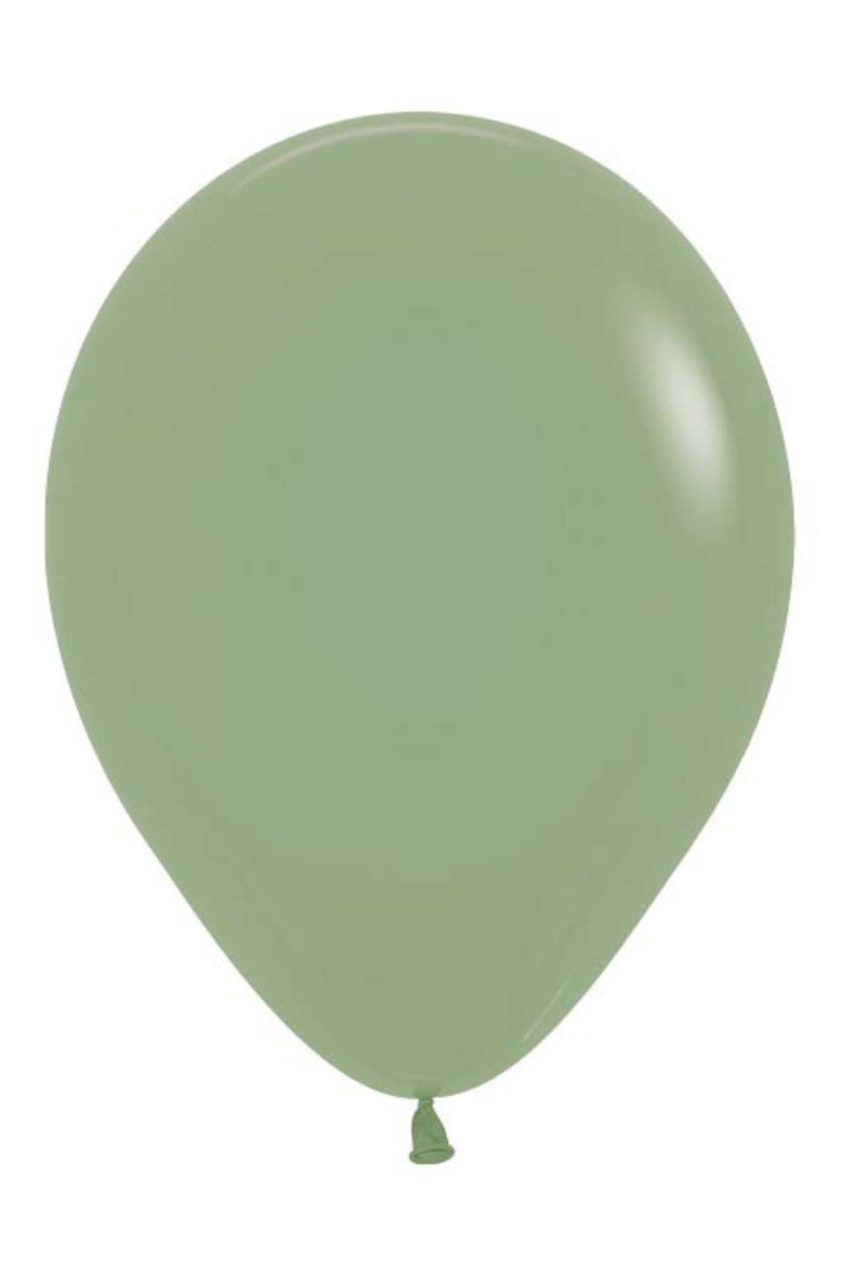 Eucalyptus