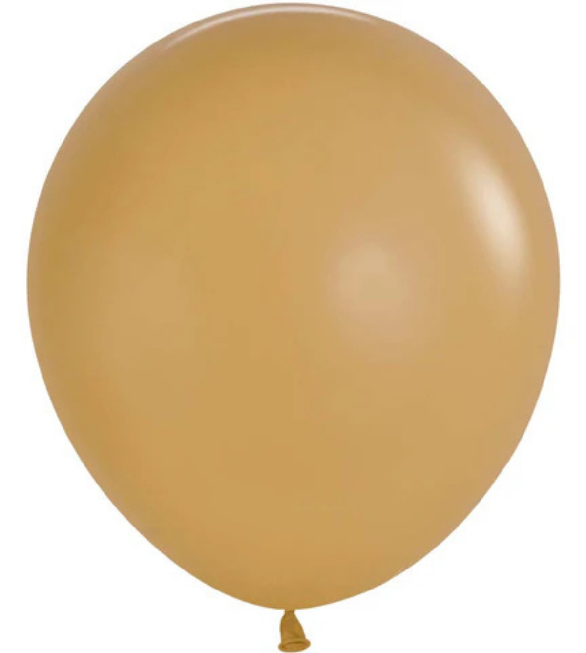 Sempertex Latte Balloons - Variety Sizes 5" to 36
