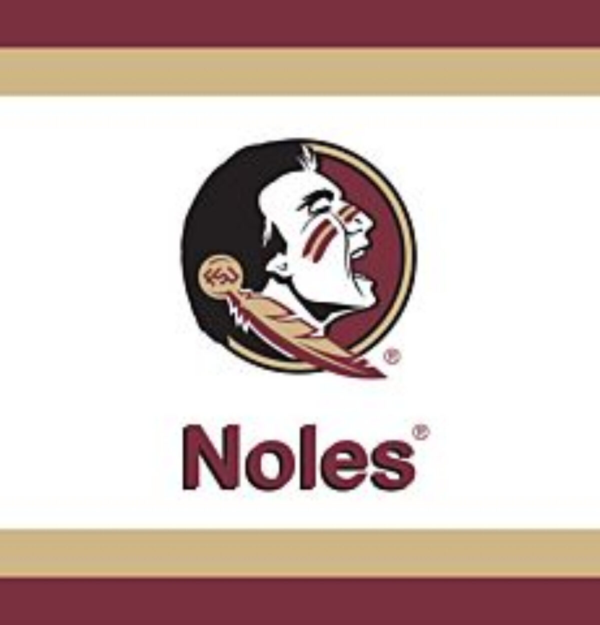 Florida State Napkins 20ct.